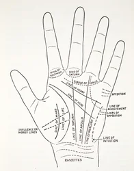 Grundlinien und Nebenlinien der Hand