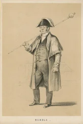 Büttel