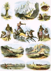 Biblische Illustrationen