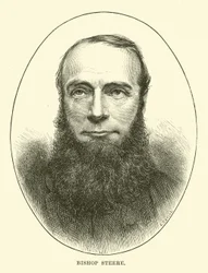 Bischof Steere