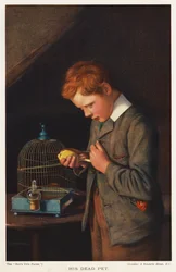 Junge mit seinem toten Kanarienvogel