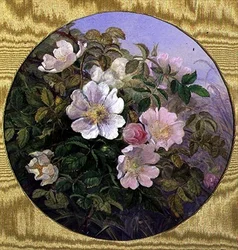 Heckenrosen, um 1890