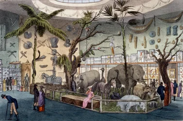 Bullocks Museum, 22 Piccadilly, London, aus Ackermanns Repository of Arts, 1809