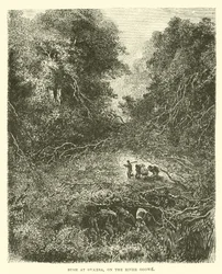 Busch bei Ovamba, am Fluss Ogowe