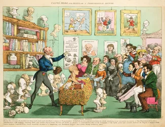 Kälberköpfe und Gehirne oder eine phrenologische Vorlesung, 1826