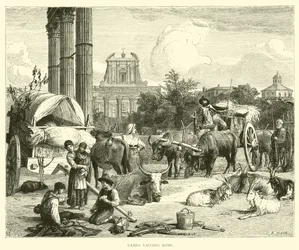 Campo Vaccino, Rom