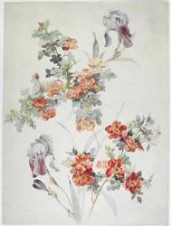 Teppichdesign