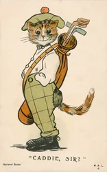 Katze, schottischer Golfcaddie (Farblithografie)