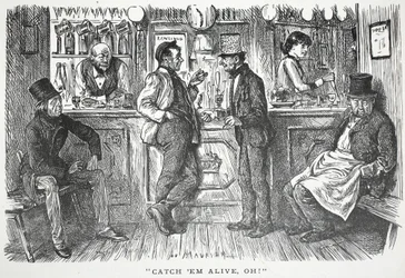 Fang sie lebendig, oh!, Illustration aus Punch