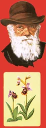 Charles Darwin