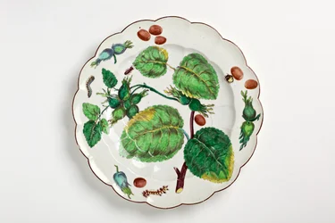 Chelsea Teller dekoriert mit botanischer Illustration von Nüssen, Insekten und Blättern, 1755