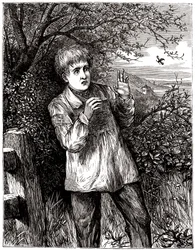 Kind erschreckt durch eine Biene - Illustration, Anfang 20. Jahrhundert