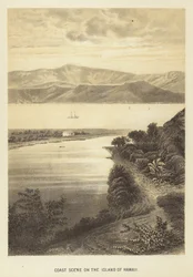 Küstenlandschaft auf der Insel Hawaii