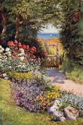 Farbe im Kräutergarten (Farblithografie)