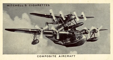 Kombinationsflugzeug