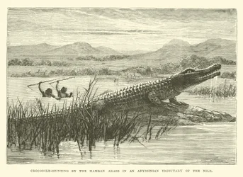 Krokodiljagd durch die Hamran-Araber in einem abessinischen Nebenfluss des Nils