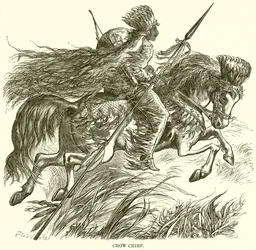 Krähenhäuptling