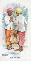 Übliche Begrüßung in Ceylon, 1907
