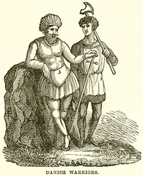 Dänische Krieger