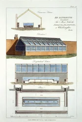 Entwurf für ein Aquarium, ausgeführt für den Marquis von Blandford in Whiteknights, 1806