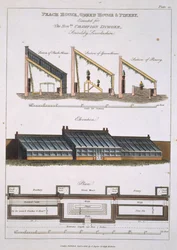 Entwurf für Pfirsichhaus, Gewächshaus und Ananashaus, 1806