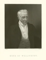 Herzog von Wellington