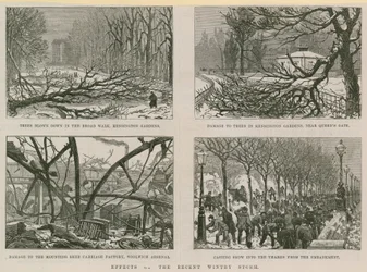 Auswirkungen des jüngsten Wintersturms