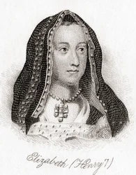 Elisabeth von York