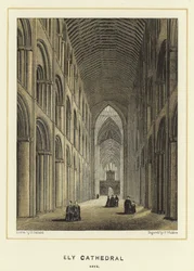 Ely Kathedrale, das Langhaus