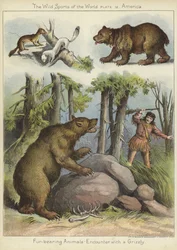 Begegnung mit einem Grizzly