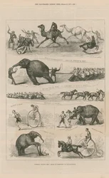 Kraftakte in Lillie Bridge