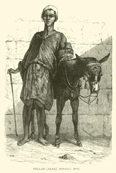 Fellachin, Araber; Eseljunge