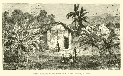 Fetisch-Bananenbäume nahe dem Fluss Ogowe, Gabun