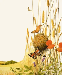 Feldmaus und Schmetterling