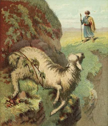 Das Finden des Schafes