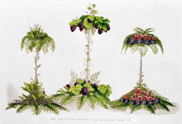 Erster Preis für Tischdekoration, Royal Horticultural Society, 1851