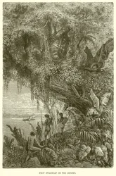 Erstes Dampfschiff auf dem Orinoco