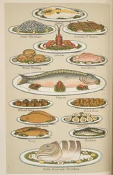 Fischgerichte, aus 