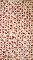 Florales Vorsatzpapier (handkolorierte Gravur)