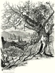 Florenz, von Bellosguardo (Gravur)