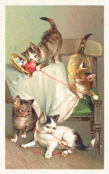 Vier Katzen spielen mit einem Wollknäuel