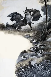 Fuchs unter Angriff