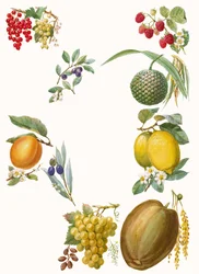 Früchte
