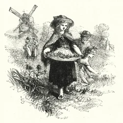 Schlüsselblumen sammeln (Gravur)