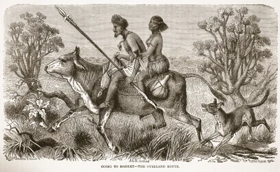 Auf dem Weg zum Markt - die Überlandroute, Illustration aus der Bildausgabe des Lebens und der Entdeckungen von David Livingstone von J. Ewing Richie, veröffentlicht von A. Fullarton & Co., 1876