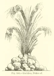 Herzöge von Geldern