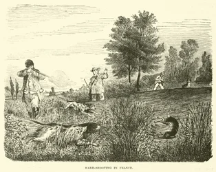 Hasenjagd in Frankreich