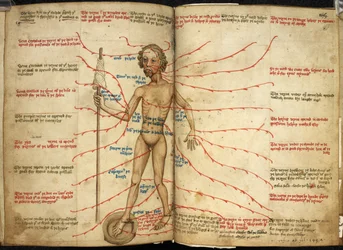 Miniatur eines Aderlassmannes mit einem Fuß in einer Blutpfanne und einer Spindel in der Hand, Illustration aus 