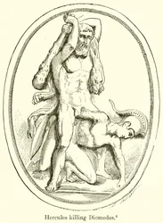 Herkules tötet Diomedes