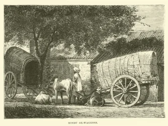 Hindu-Ochsenkarren